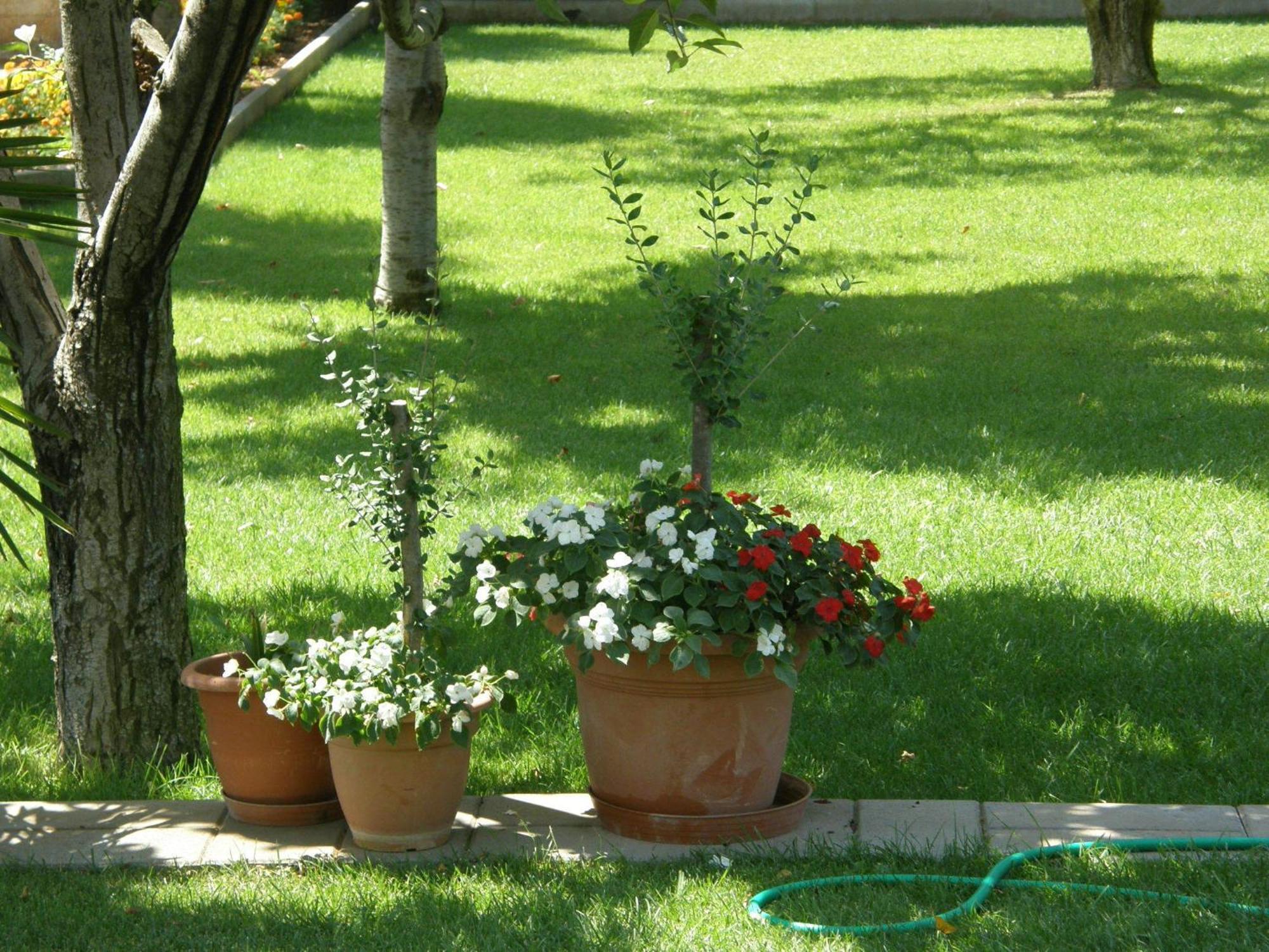 Villa Slavica 1 Vodice Dış mekan fotoğraf