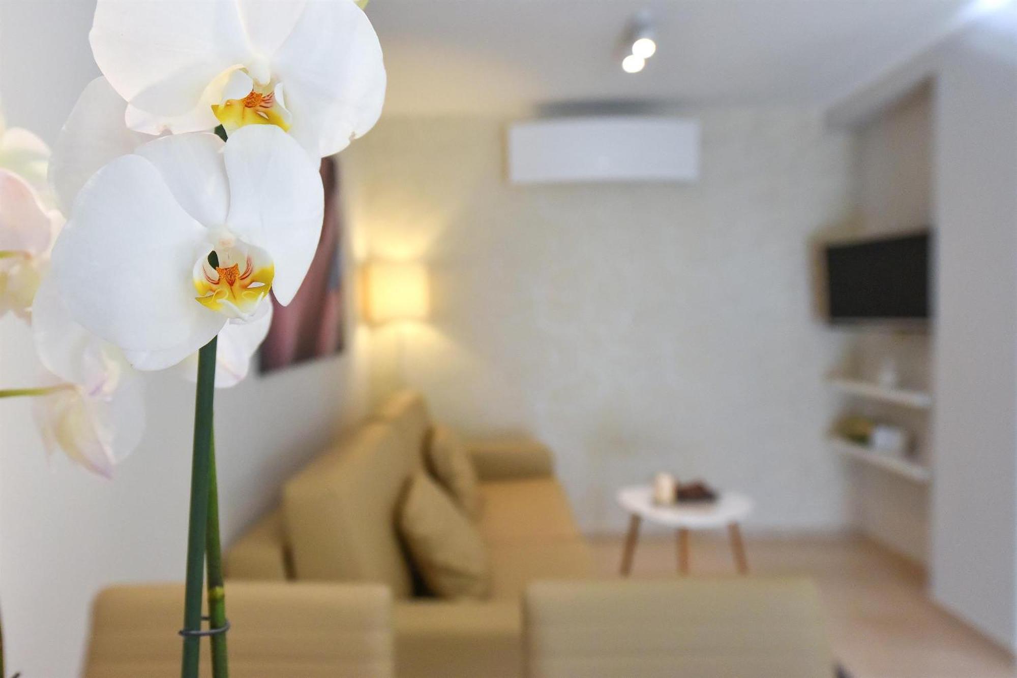 Villa Slavica 1 Vodice Oda fotoğraf