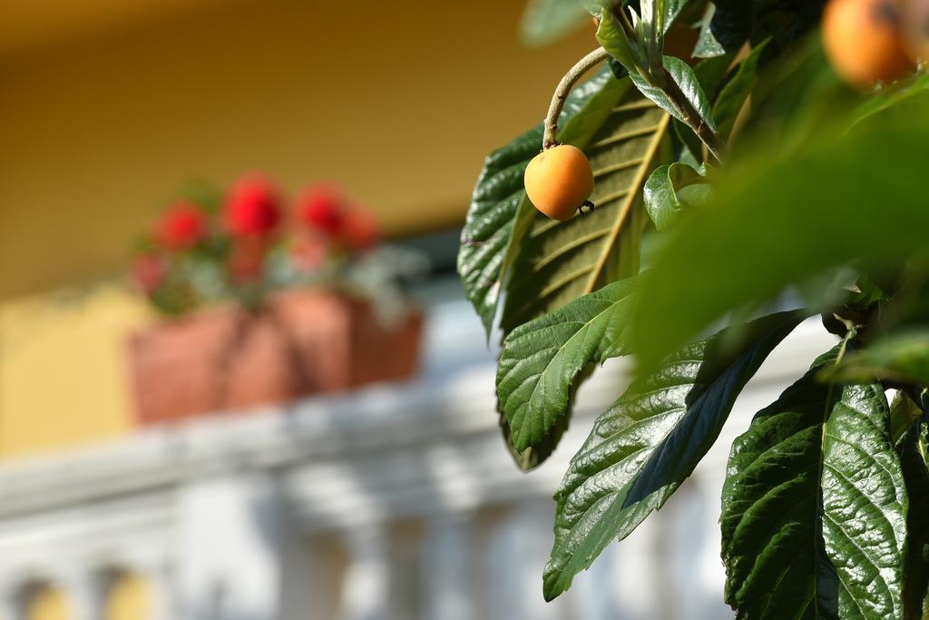 Villa Slavica 1 Vodice Dış mekan fotoğraf